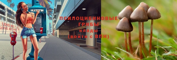 спиды Гусиноозёрск