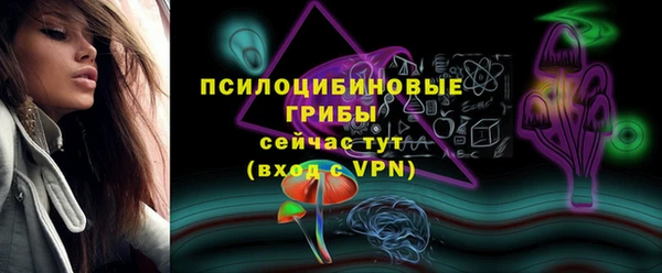 стаф Гусь-Хрустальный