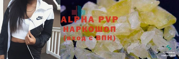 молекула духа Гусев