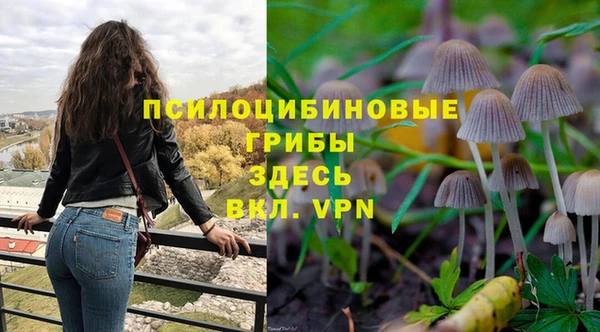 молекула духа Гусев