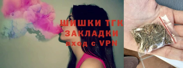 молекула духа Гусев
