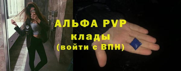 стаф Гусь-Хрустальный