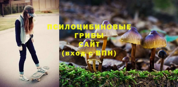 спиды Гусиноозёрск
