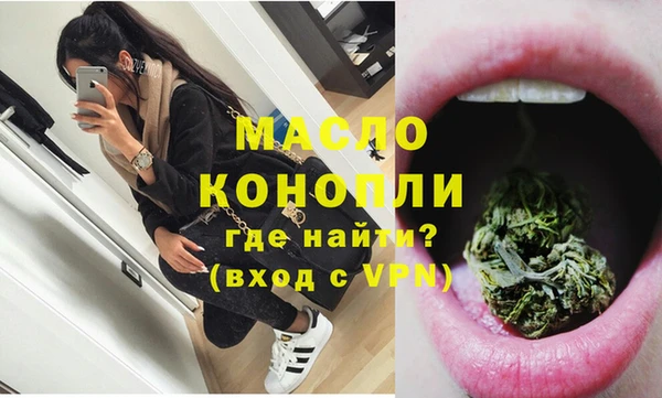 стаф Гусь-Хрустальный