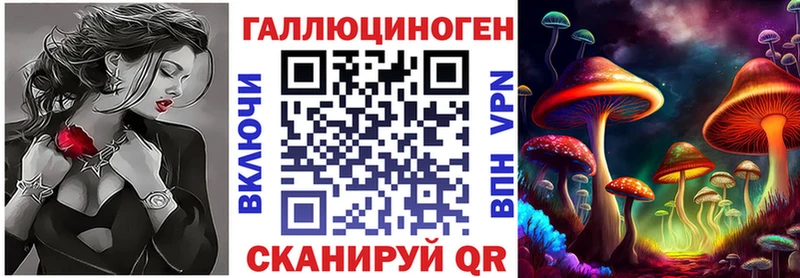 kraken онион  shop формула  Самара  Псилоцибиновые грибы мицелий  где купить  