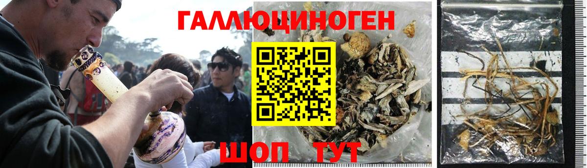 Псилоцибиновые грибы GOLDEN TEACHER  Вход с VPN  Самара 